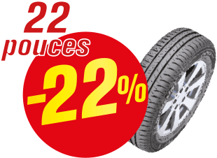 Moins 22% 22 pouces